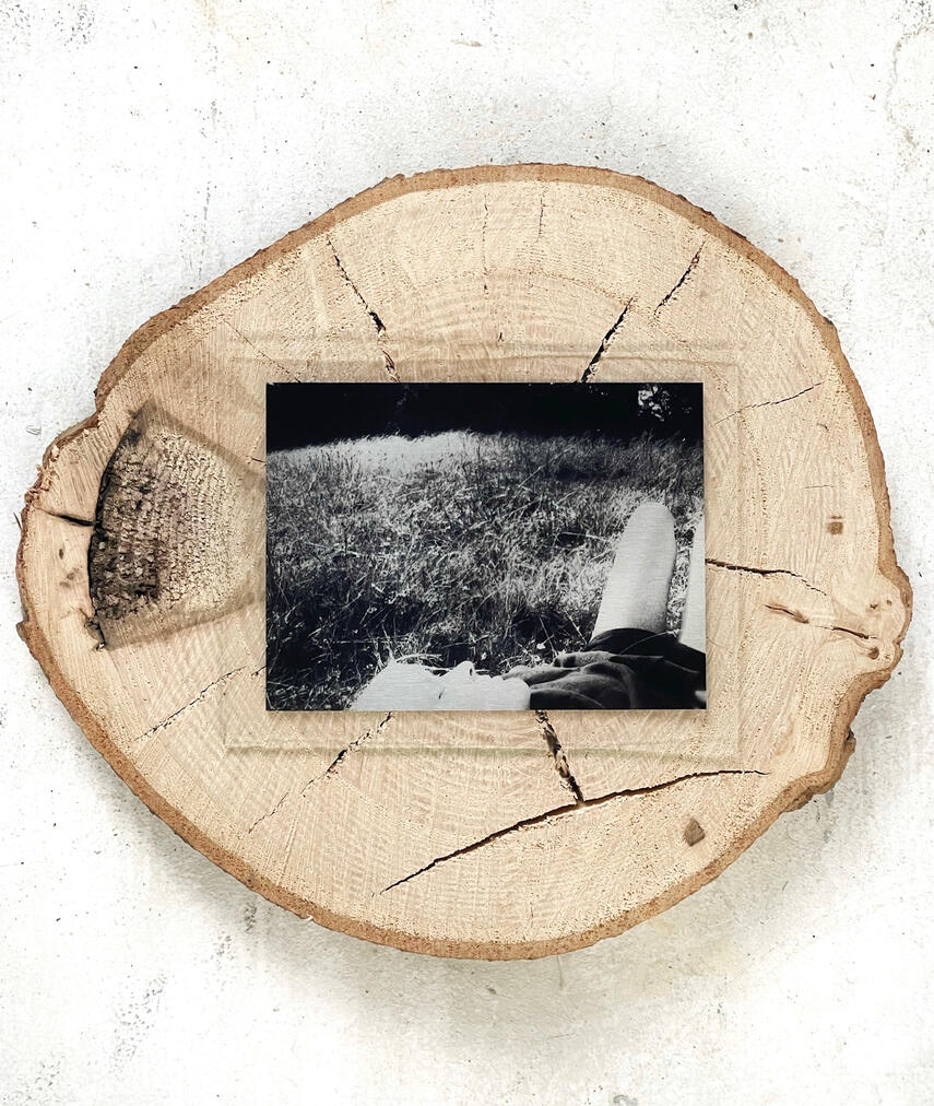Untitled (Stepping Stone #2) Print on brushed aluminium, glass, apple wood 20 x 25 cm 2026