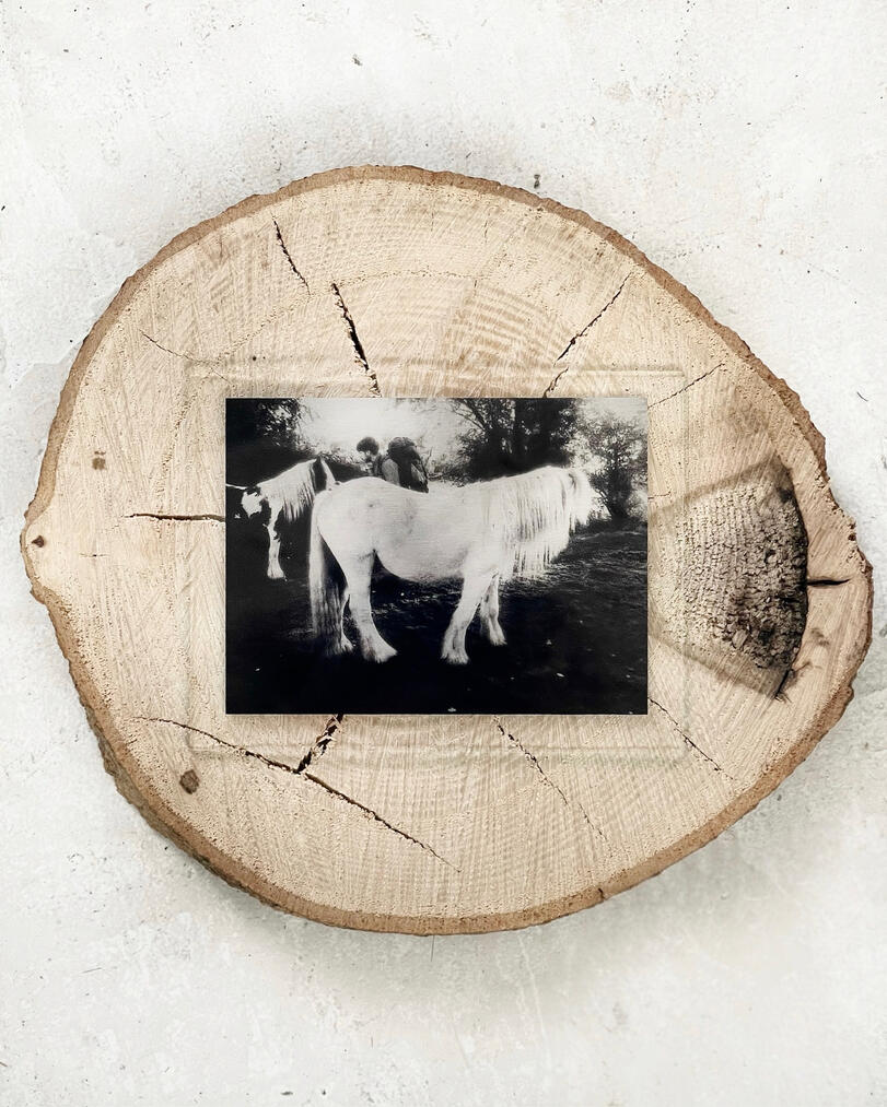Untitled (Stepping Stone #1) Print on brushed aluminium, glass, apple wood 20 x 25 cm 2026